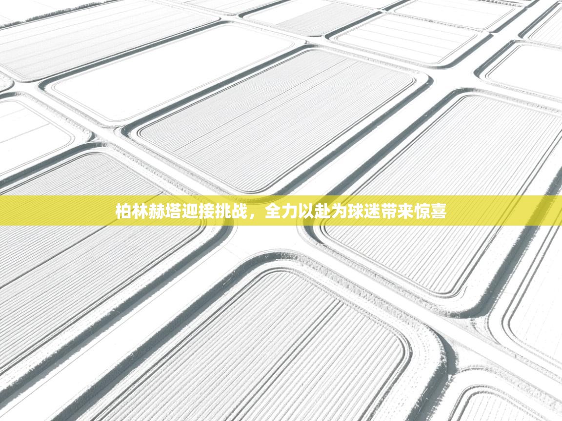 柏林赫塔迎接挑战，全力以赴为球迷带来惊喜  第2张