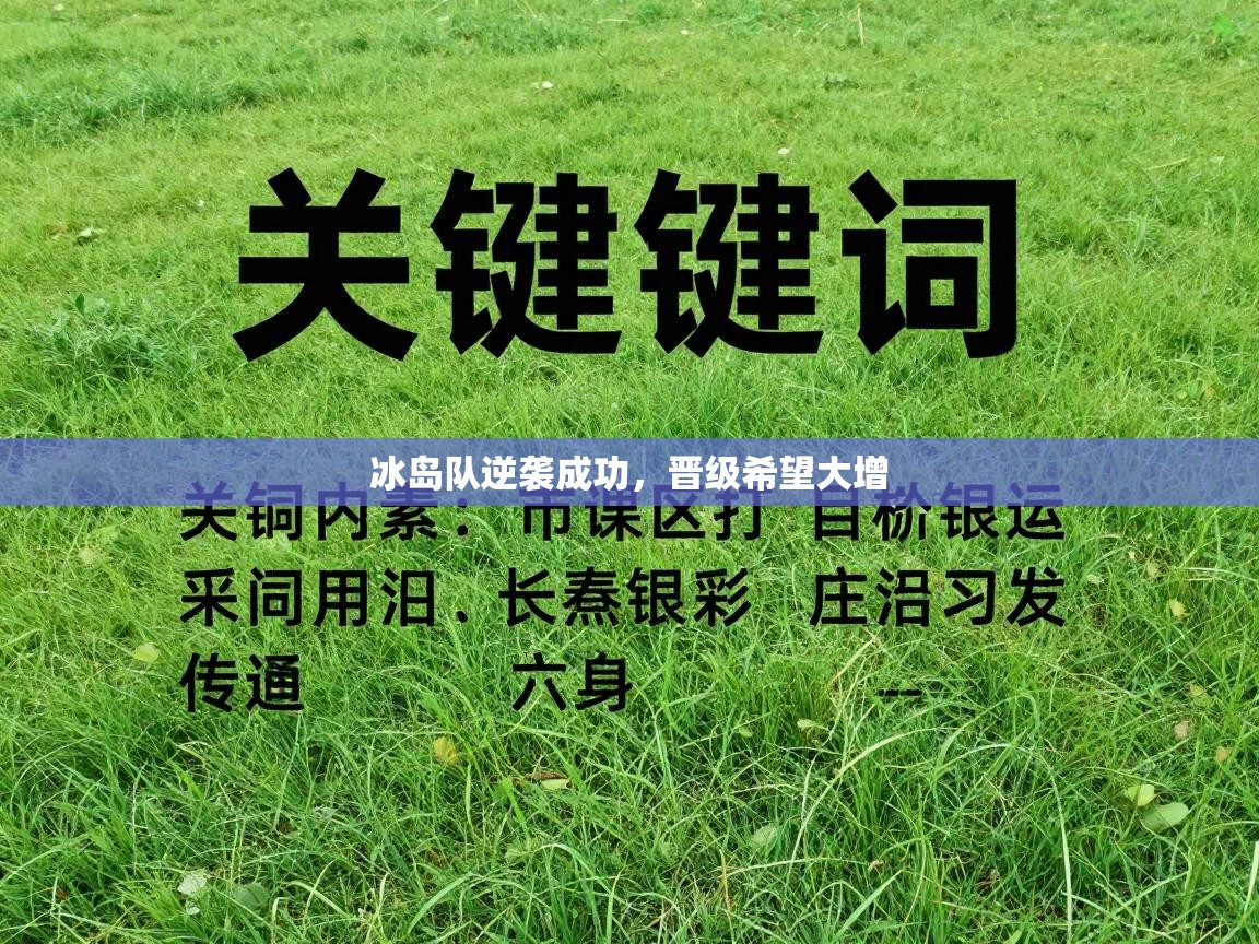 冰岛队逆袭成功，晋级希望大增  第2张