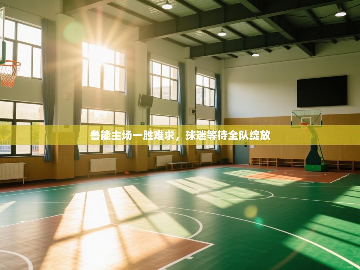 鲁能主场一胜难求，球迷等待全队绽放  第2张