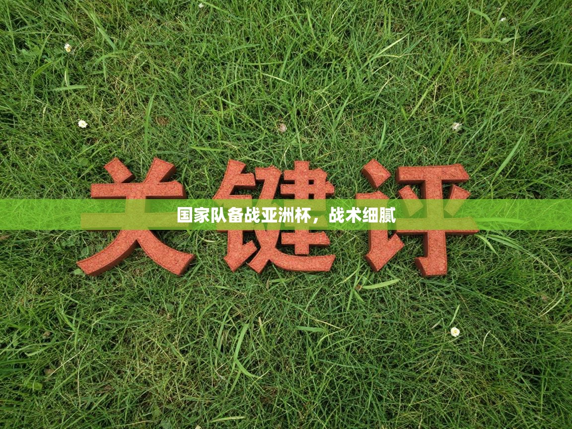 国家队备战亚洲杯，战术细腻  第2张